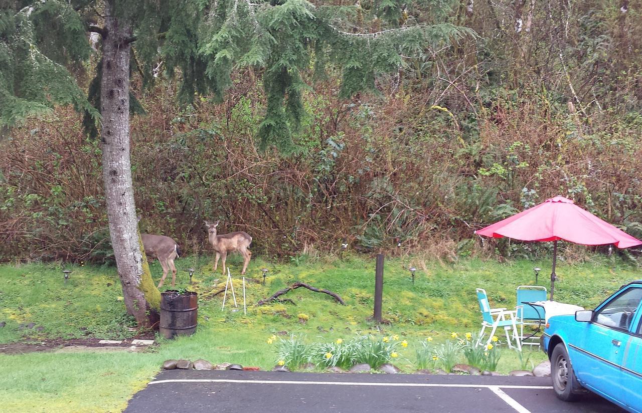 Shiny Motel Hoquiam Luaran gambar